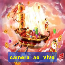 camera ao vivo beto carrero